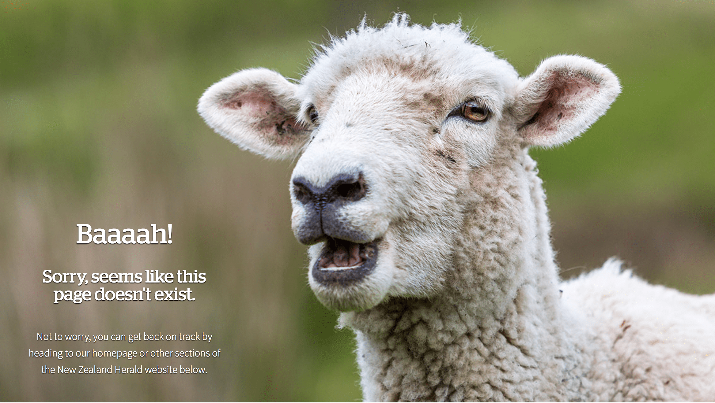 Screen Shot 2017-06-19 at 6.02.34 PM.png